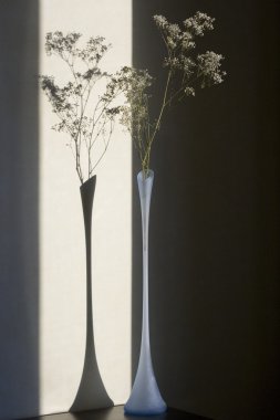 Gypsophila bungeana in glass vase clipart