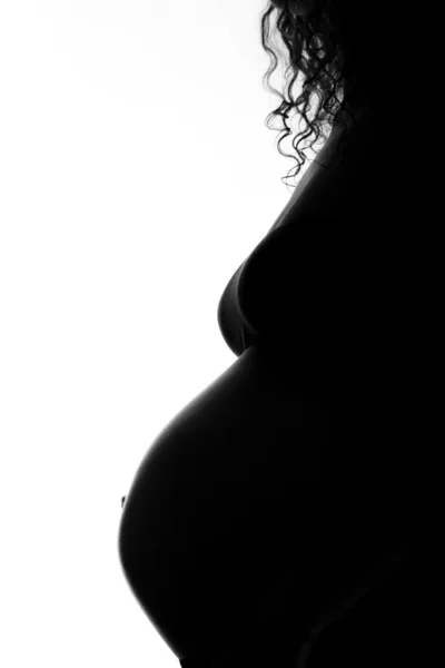 Silhouette of pregnant woman Royalty Free Stock Images