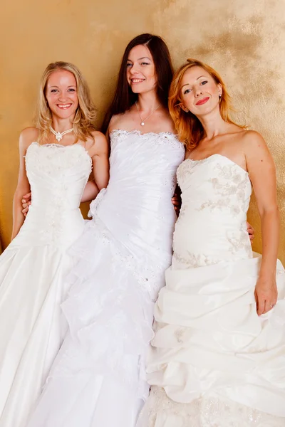 Tree beautiful brides — Stock Photo, Image