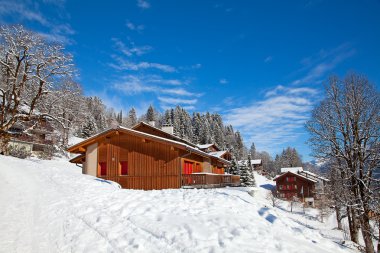 Kış tatil evi
