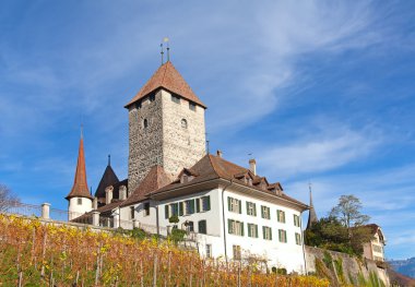 Spiez castle clipart