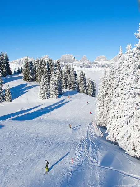 Musim dingin di Alpen — Stok Foto