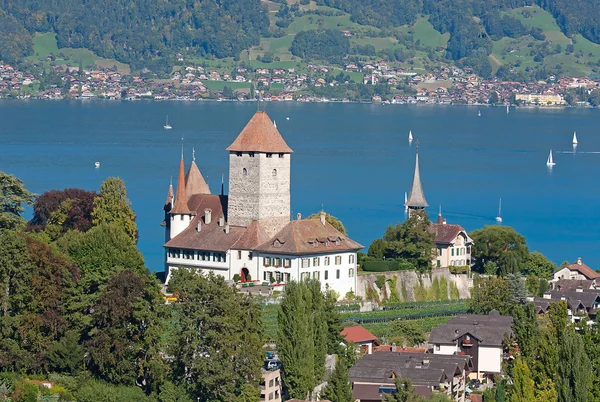 stock image Spiez castle