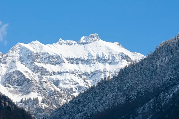 Winter in alps — Stock Photo, Image