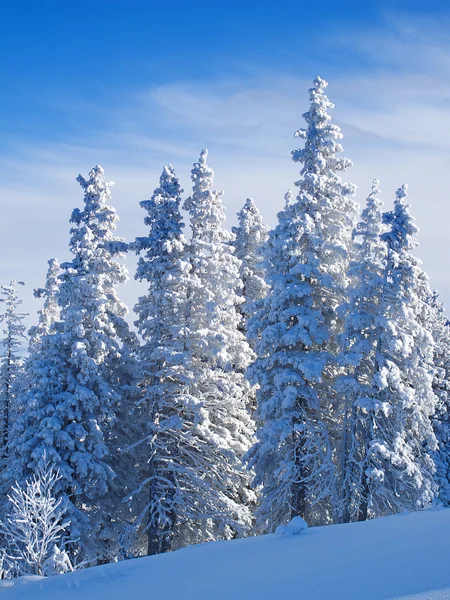 Zima w Alpach — Zdjęcie stockowe