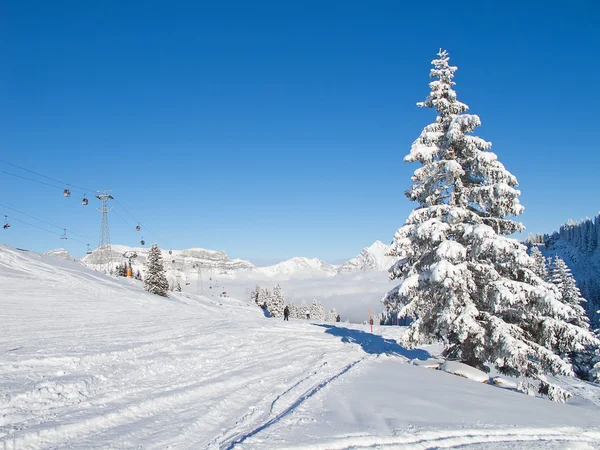 Alplerde kış — Stok fotoğraf