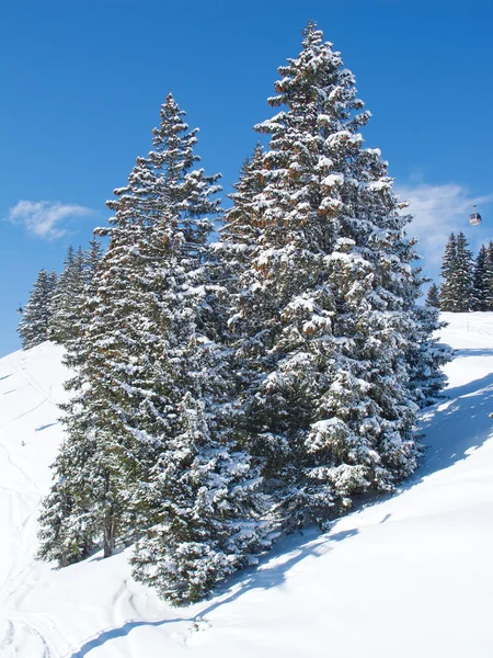 阿尔卑斯山的冬天 图库图片