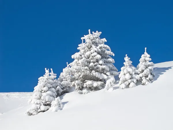 阿尔卑斯山的冬天 免版税图库图片