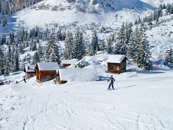 Stok narciarski — Zdjęcie stockowe