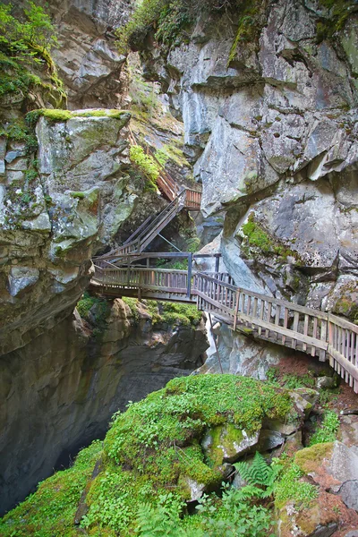 stock image Wooden bridge over gorge