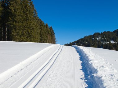 Cross-country ski track clipart