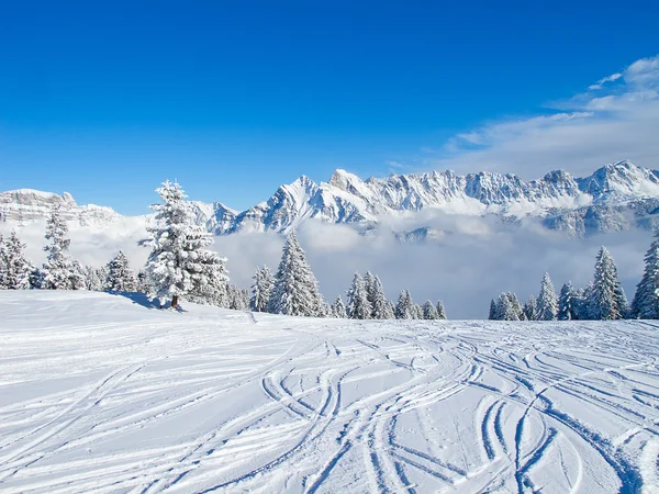 滑雪坡 — 图库照片