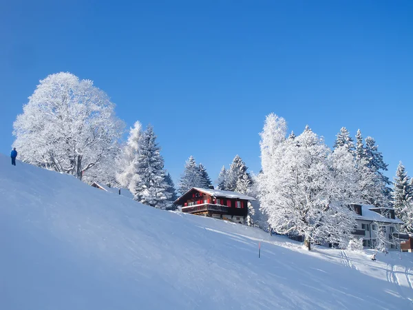 Vintern i Alperna — Stockfoto