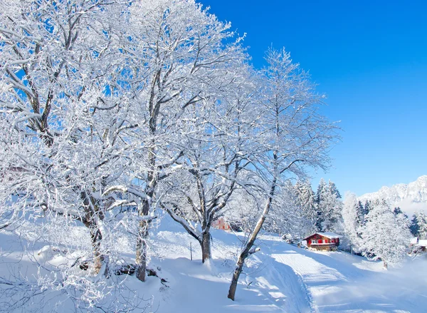 Beautiful alpine scenery — Stock Photo, Image