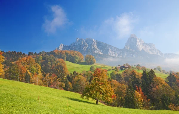 在阿尔卑斯山的秋天 — 图库照片