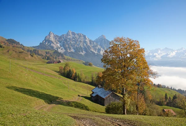 Herfst in Alpen — Stockfoto