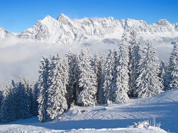 Vintern i Alperna Stockbild