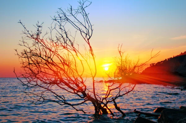 Захід сонця і моря Ліцензійні Стокові Фото