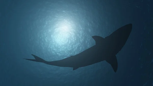 Silueta de un tiburón, vista desde la profundidad — Foto de Stock