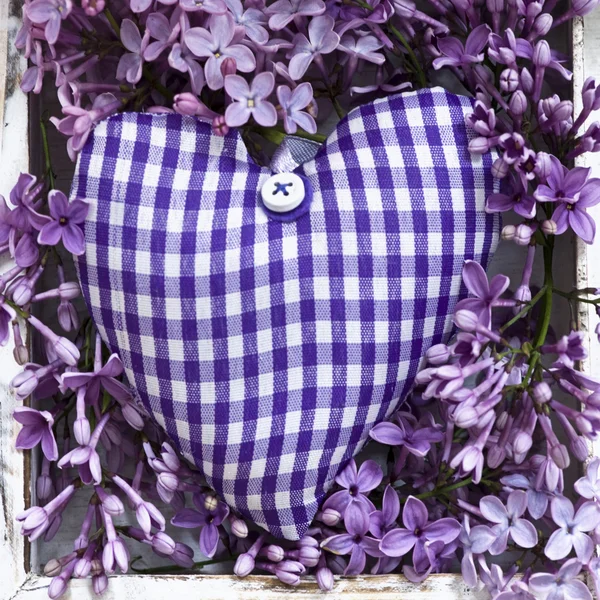 Heart and lilac — Stock Photo, Image