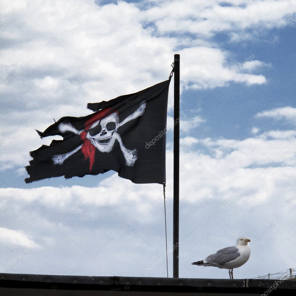 Pirate flag and seagull