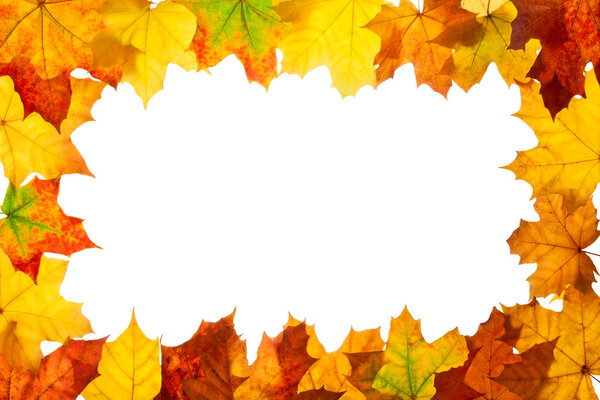 Frame of maple autumn leaves