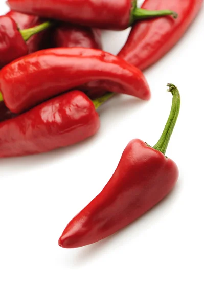 Röd bitter peppar — Stockfoto