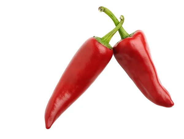 Två röda bitter peppar — Stockfoto