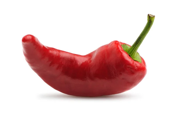 Röd bitter peppar — Stockfoto