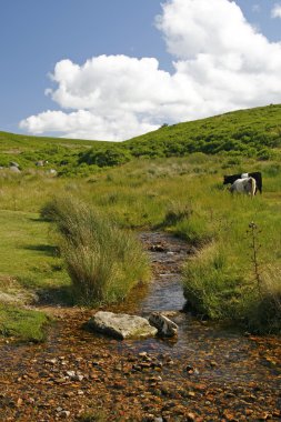 dartmoor, cornwall, devon, İngiltere'de, Avrupa içinde küçük dere