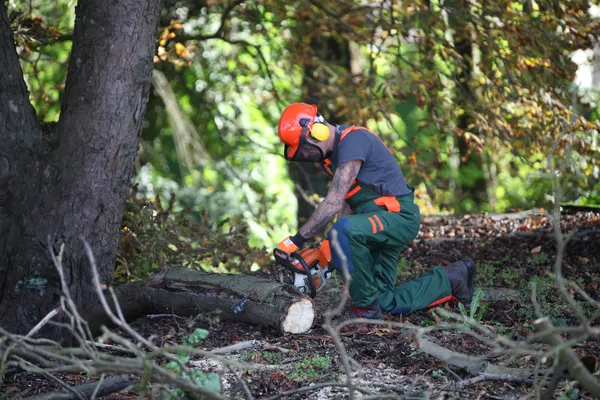 Een forest werknemer maakt hout Stockfoto