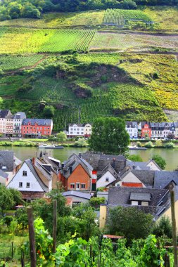 Vineyards along the Mosel clipart