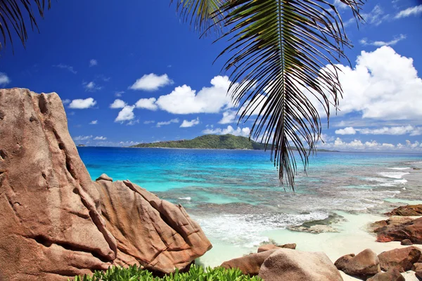 Fantastisk strand - Seychellene – stockfoto