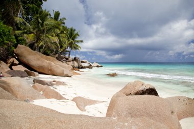 Dreamlike lonely beach with palm trees clipart