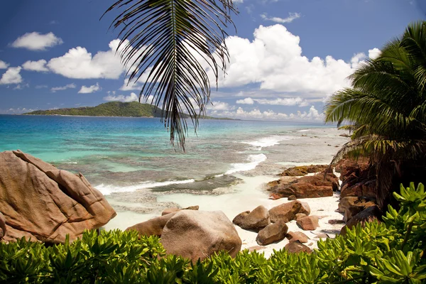 Drømmestrand Seychellene – stockfoto