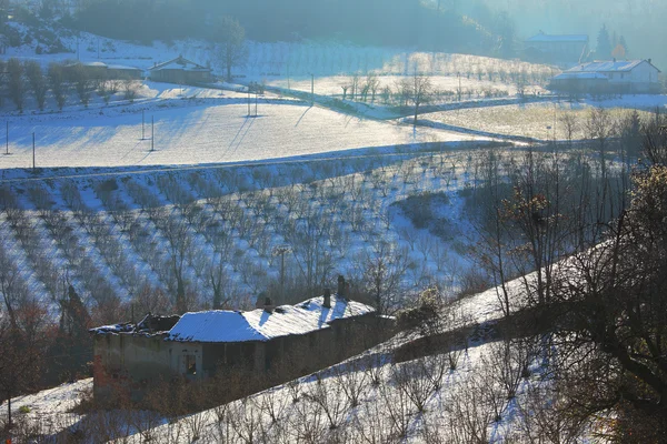 Oud huis en plantages in besneeuwde Piemonte. — Stockfoto