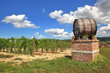 Italian winery. Castiglione Falletto, Northern Italy. clipart