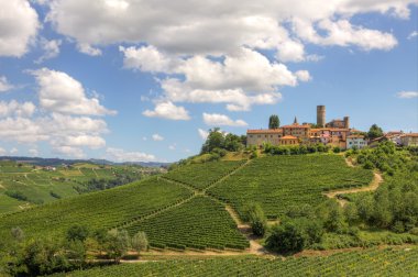 Hills and vineyards of Piedmont, Italy. clipart