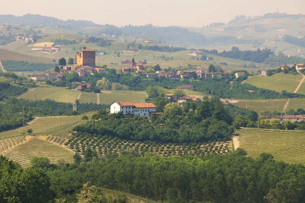 Nézd, a hegyekre és a szőlőültetvényekre, Piemont. — Stock Fotó