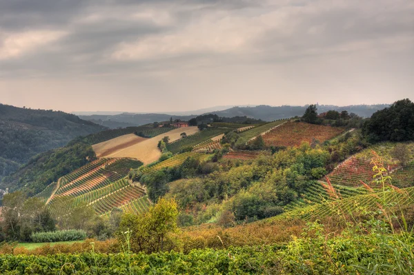 Colline e vigneti in autunno. Piemonte, Italia settentrionale . — Foto Stock