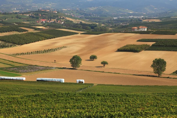 Blick auf Weinberge und Felder in Norditalien. — Stockfoto