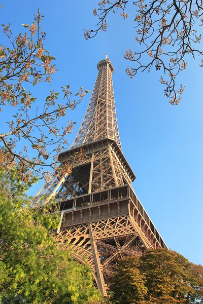 Världsberömda Eiffeltornet i paris, Frankrike. — Stockfoto