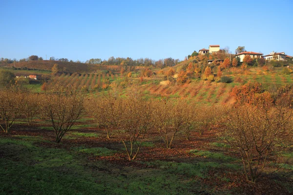 Vista rural do Piemonte . — Fotografia de Stock