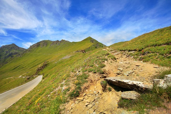 高山 peakes 和意大利北部的草甸. — 图库照片
