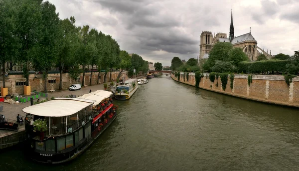 Seine řece a notre dame de paris katedrála. — Stock fotografie