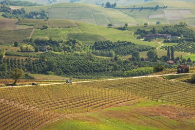 tepeler ve piedmont bağlar. Kuzey itaky.