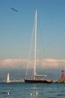 Portofino Koyu'nda yat.