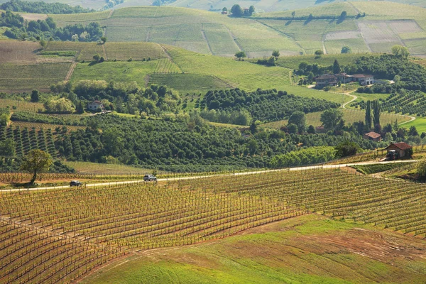 Heuvels en wijngaarden van Piemonte. Noord itaky. — Stockfoto