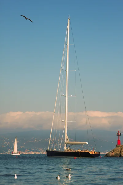 Yacht i portofino bay. — Stockfoto