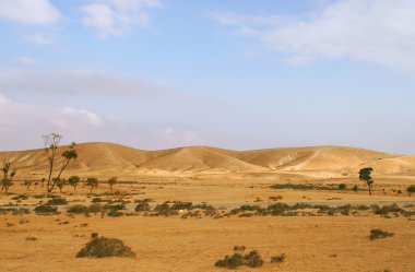 İsrail 'de Negev Çölü.